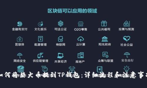 如何将柴犬币提到TP钱包：详细流程和注意事项