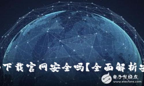数字钱包app下载官网安全吗？全面解析安全性与风险