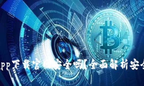 数字钱包app下载官网安全吗？全面解析安全性与风险