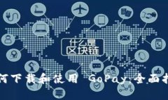 如何下载和使用 GoPay：全面指南