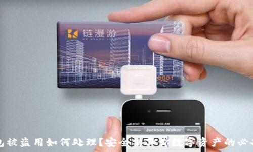   
tp钱包被盗用如何处理？安全保卫你数字资产的必备指南