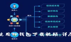 如何使用TP钱包下载视频：详尽指南