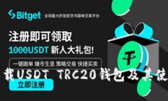 如何下载USDT TRC20钱包及其使用指南