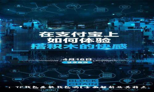 : TP钱包是软钱包吗？全面解析及其特点