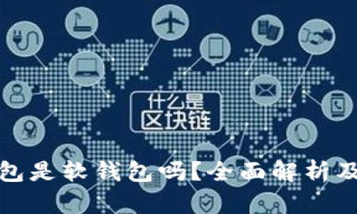 : TP钱包是软钱包吗？全面解析及其特点