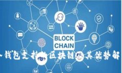 冷钱包支持的区块链及其优势解析