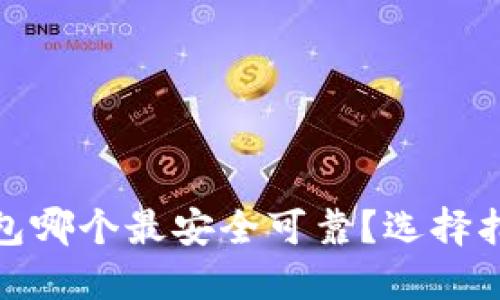 数字货币冷钱包哪个最安全可靠？选择指南与详细评测