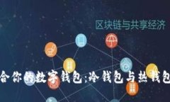 如何选择适合你的数字钱包：冷钱包与热钱包的