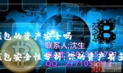 数字钱包的资产安全吗数字钱包安全性分析：你