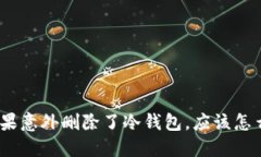 : 如果意外删除了冷钱包，应该怎么办？