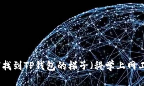 如何找到TP钱包的梯子（科学上网工具）