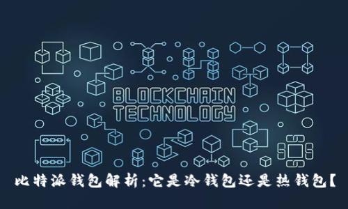 比特派钱包解析：它是冷钱包还是热钱包？