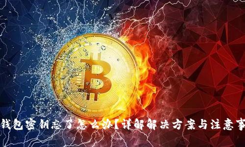 冷钱包密钥忘了怎么办？详解解决方案与注意事项
