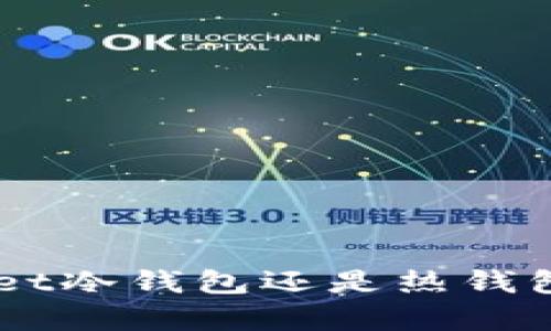 TokenPocket冷钱包还是热钱包？全面解析