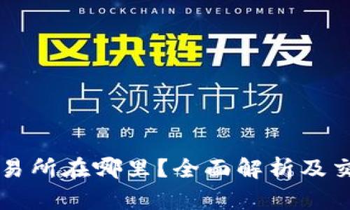 VV币交易所在哪里？全面解析及交易指南