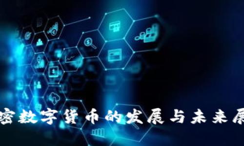加密数字货币的发展与未来展望